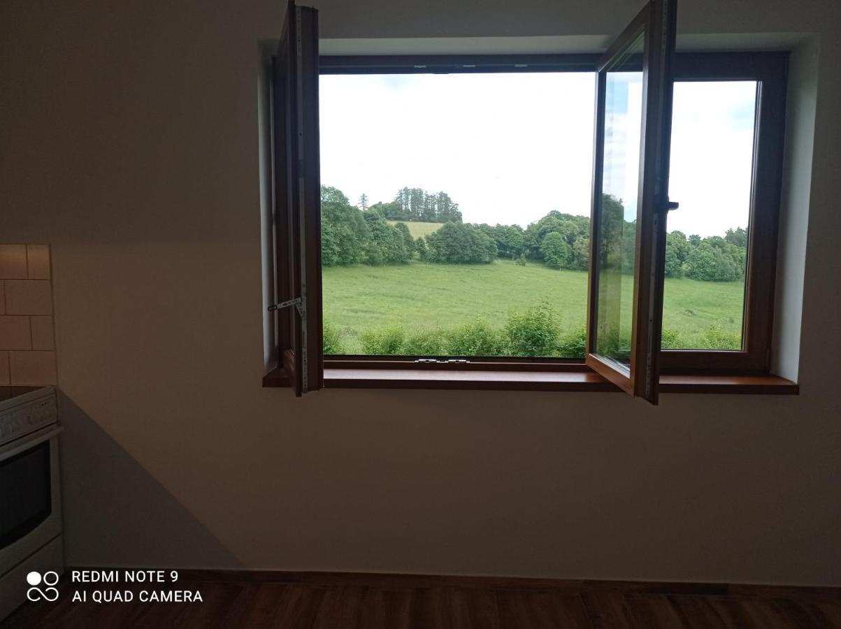 Apartmany U Becova Nad Teplou Bečov nad Teplou Εξωτερικό φωτογραφία